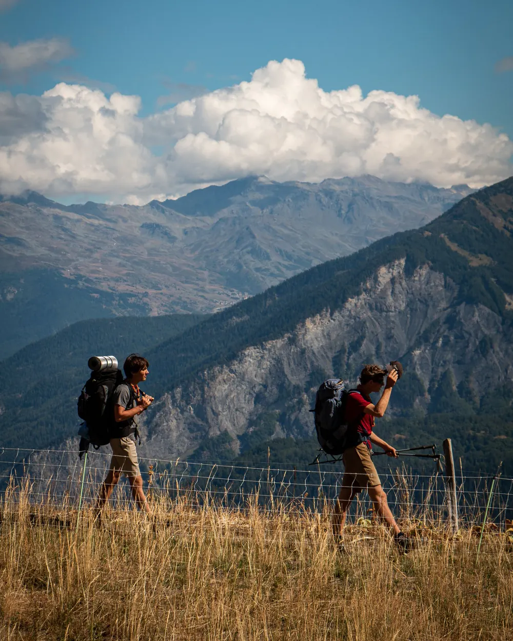 Pack walkers heading for camp