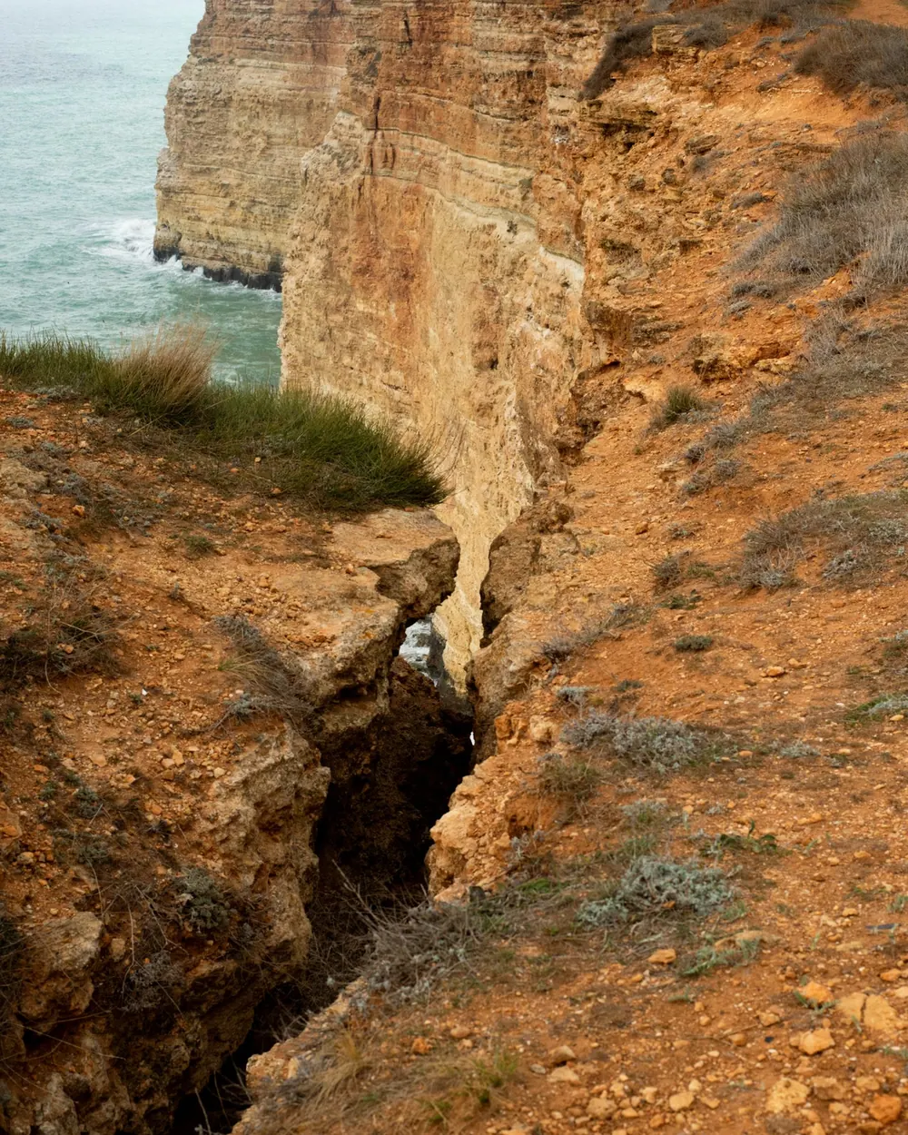 Cliff tops on the Coast Track