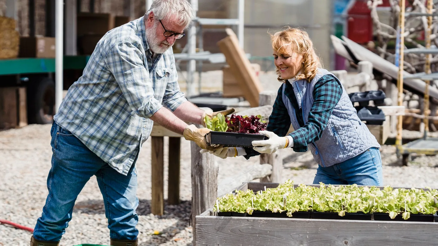 Two community gardeners passing seedlings across a potting bench