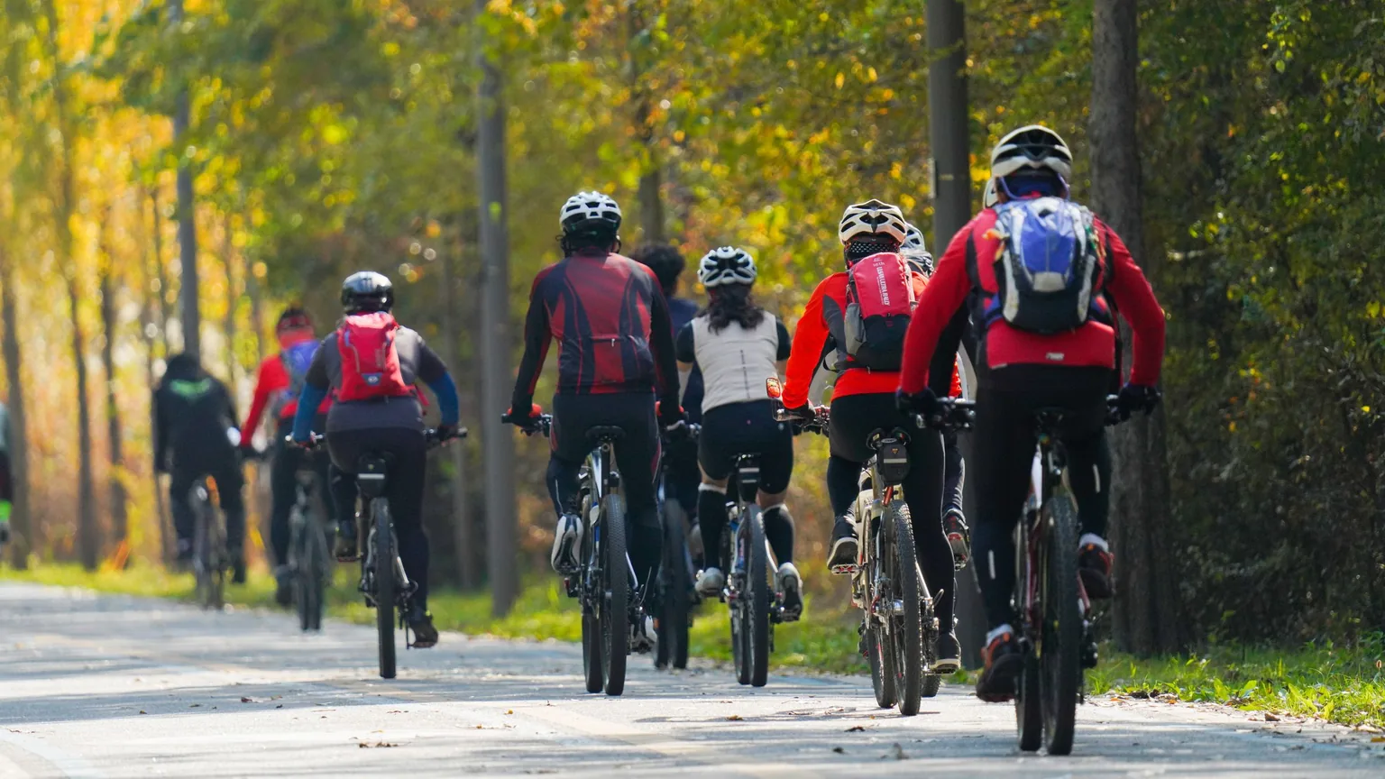 A club ride heading out along a tree-lined road in autumn