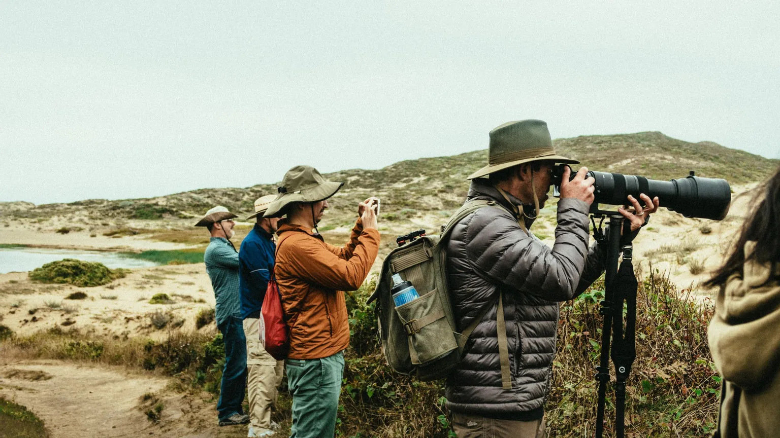 Birdwatchers with long lenses and binoculars on a coastal path
