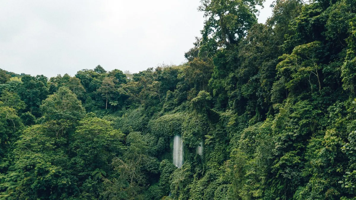 Hutan simpan di pinggir bandar